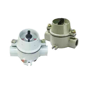 SW-10 Series Explosion Proof Light Switch (IIB, DIP) 