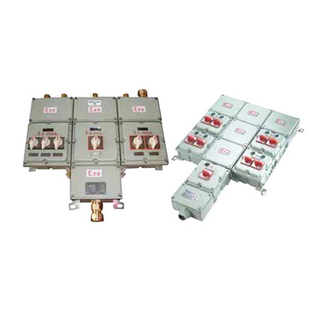 BXM(D)53 Series Explosion Proof Lighting
